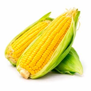 Choclo humero unidad