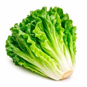 Lechuga costina unidad
