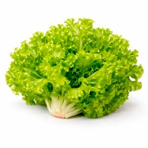 Lechuga española unidad