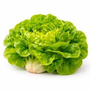 Lechuga milanesa unidad